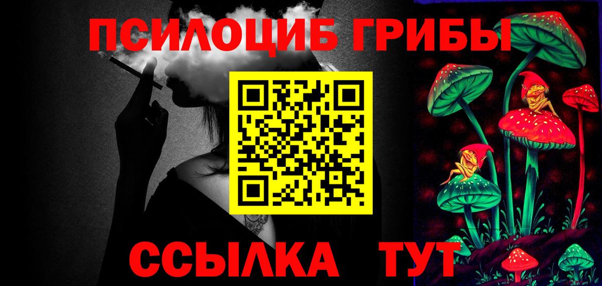 Галлюциногенные грибы Psilocybine cubensis Усть-Кут