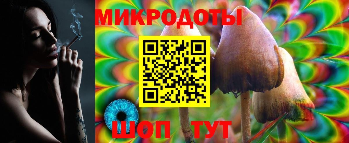 Галлюциногенные грибы мухоморы  Галлюциногенные грибы Psilocybine cubensis  Усть-Кут  Вход с VPN 
